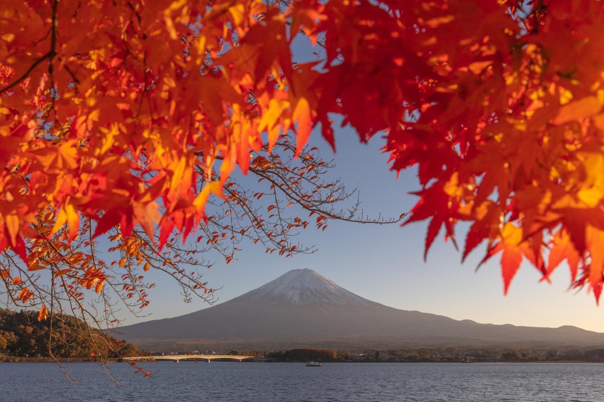 Holiday Home Furinkazan 風林火山 Fujikawaguchiko Eksteriør billede